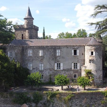 Le Chateau De Cambiaire Saint-Etienne-Vallee-Francaise Екстериор снимка