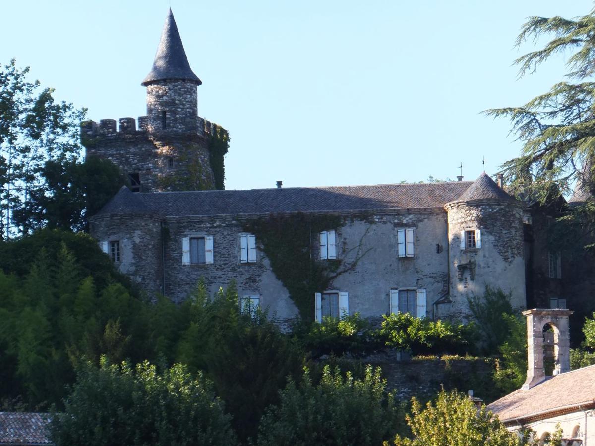 Le Chateau De Cambiaire Saint-Etienne-Vallee-Francaise Екстериор снимка