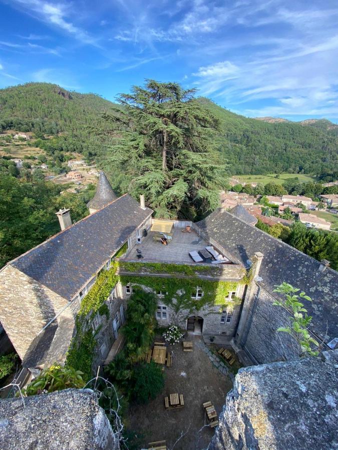 Le Chateau De Cambiaire Saint-Etienne-Vallee-Francaise Екстериор снимка