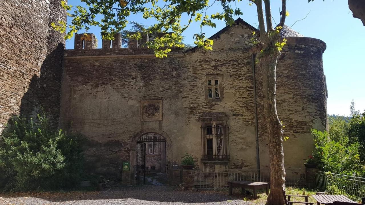 Le Chateau De Cambiaire Saint-Etienne-Vallee-Francaise Екстериор снимка
