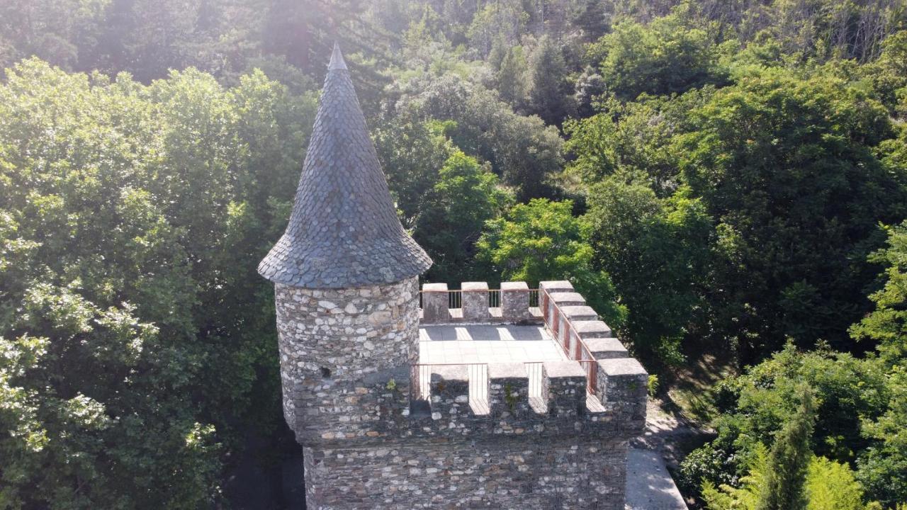 Le Chateau De Cambiaire Saint-Etienne-Vallee-Francaise Екстериор снимка