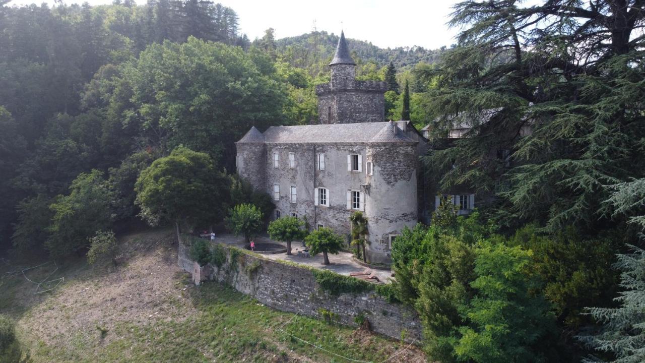 Le Chateau De Cambiaire Saint-Etienne-Vallee-Francaise Екстериор снимка